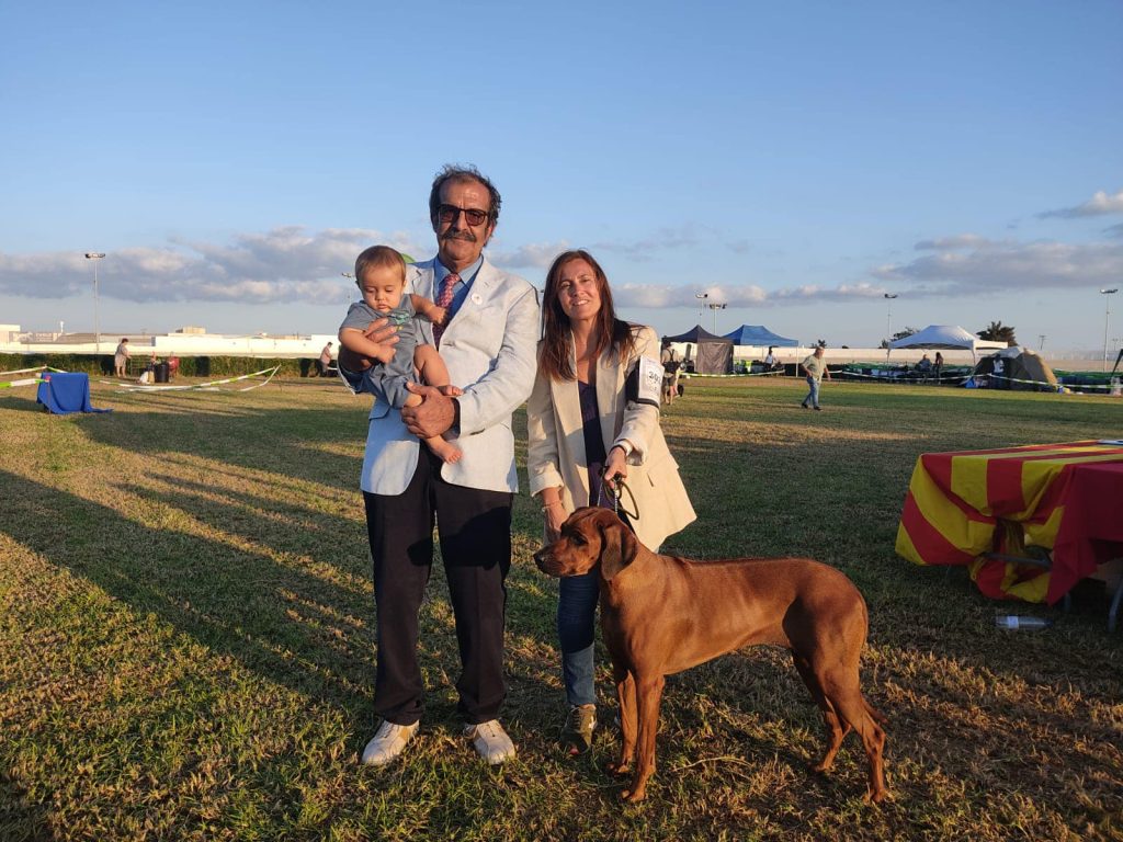 rhodesian ridgeback españa